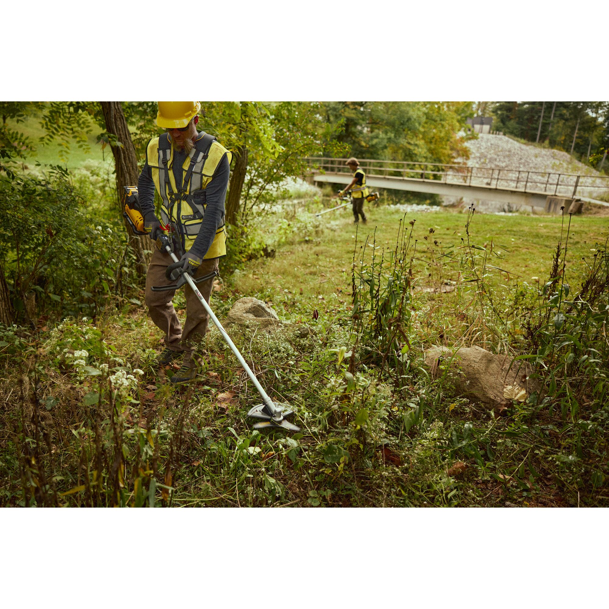 DeWalt 60V MAX 10 in. Brushless Cordless Brush Cutter Kit (DCBC580X2 ...