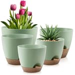 Plant Pots 10/9/8/7.5/7 Inch Self Watering Pots, Set of 5 Plastic Planters with Drainage Holes and Saucers,Plastic Flower Pots,Nursery Planting Pot for Indoor Out Door Plants（Green）