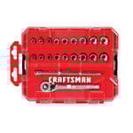 1/4-in Drive 6 Point Chrome Mechanics Tool Set (20 pc)