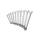 10 Piece Combination Wrench Set