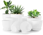 - Plant Pots Indoor with Drainage - 7/6.6/6/5.3/4.8 Inches Flower Pots for Indoor Planter - 10 Pack Plastic Planters - Ideal for Stocking Stuffers or Home Christmas Decorations - White