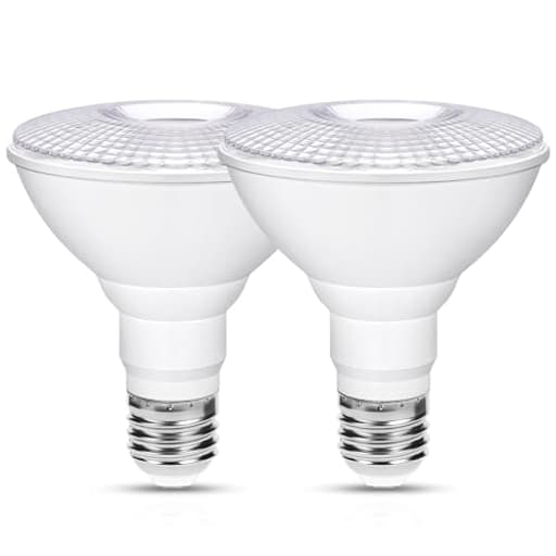 2 Pack PAR30 LED Flood Light Bulb Outdoor, 12W 100W Equivalent Spotlight, 1100LM Dimmable Track Lighting E26 5000K Daylihgt White LED Flood Bulbs for Security Recessed Bulb