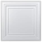 PVC Ceiling Tiles, 2'x2' Plastic Sheet in White