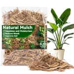 6.35 OZ Wood Mulch - Poplar Tree Bark Mulch for Landscaping Outdoor Organic Wood Chips for Garden Potted Plants Garden Mulch for Indoor Patio Lawns