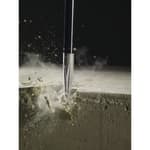 SDS Max 12 in. Bull Point