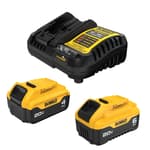 20V MAX 6.0Ah and 4.0Ah Battery (2-Pack)