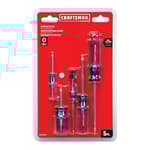 Acetate Screwdriver Set (5 pc)