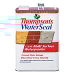 Thompson’s WaterSeal Multi-Surface Waterproofer Stain, Clear, 1 Gallon