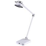 Elate Dual-Arm LED Desk Task Lamp