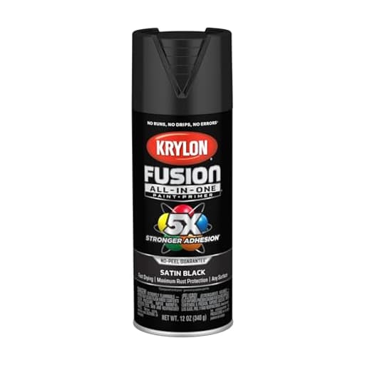 Fusion All-In-One Adhesive Spray Paint for Indoor/Outdoor Use, 12 oz, Black