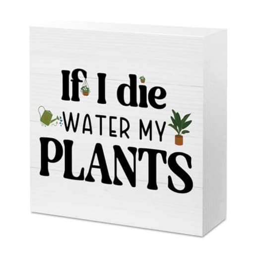 Funny Schedule Reminder Plants Sign Cute Plants Sign Decor Decorations for Home Office Garden Greenhouse Plant Lover Desk Decor Office Gift for Coworker Friend Plant Lover