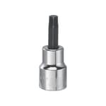 3/8-in Drive T40 TORX Bit Socket