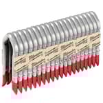 1.75 Inch 9 Gauge Galvanized Staples