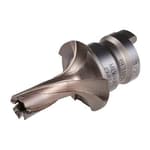 Quick Change Tang Drive Steel Hawg Cutter