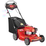 23-In. 175Cc Rwd Gas Self-Propelled Mower