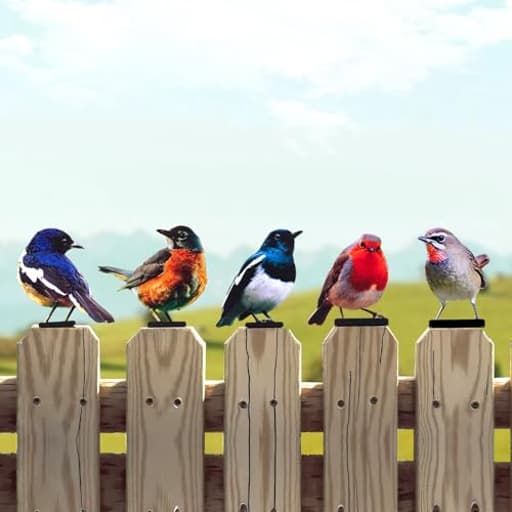 5PCS Vivid Metal Birds Fence Decor Color Painted Outdoor Garden Natural Bird 2D Sculptures for Outdoor Fences, Patio, Garden and Bird Lovers