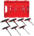 T-Handle Hex Key Set