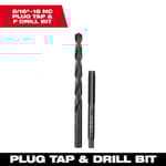 Straight Flute Plug Tap & F Drill Bit