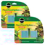Indoor Plant Food Spikes, Includes 48 Spikes - Continuous Feeding for all Flowering and Foliage Houseplants - NPK 6-12-6