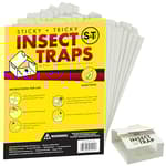 Insect Traps, 30 Count, Glue Traps for Brown Recluse, Hobo Spiders, Black Widows, Use in Home, Basement or Garage, or Utility Rooms for Pest Control
