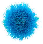 Soft Bristle Brush Cleaning Kit