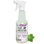 Peppermint Plant Protection Spray for Insects, Gnats, Fungus, Mites, and Disease, 16 oz